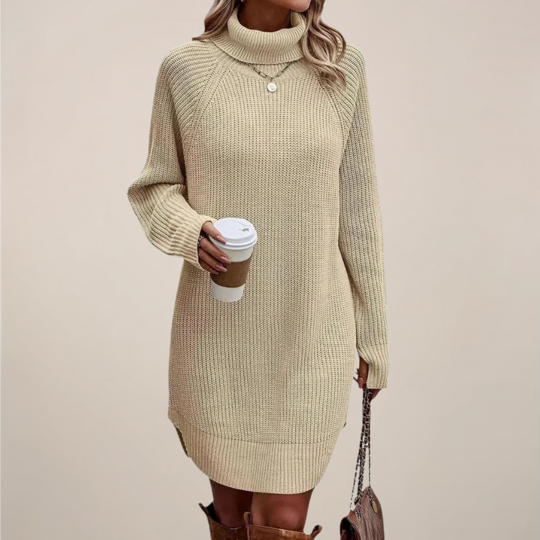 Damen Rollkragen-Pulloverkleid mit langen Ärmeln