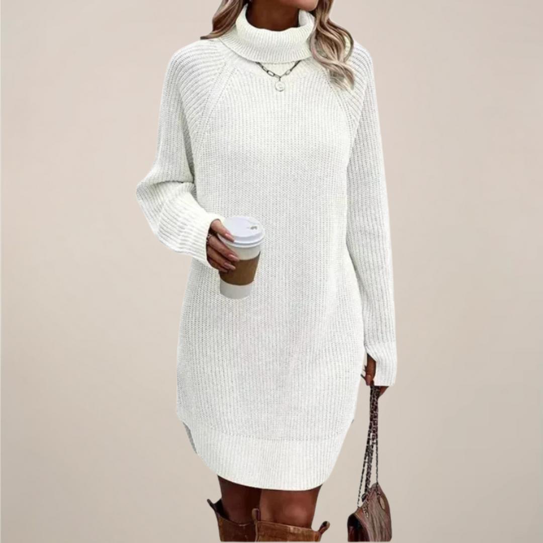 Damen Rollkragen-Pulloverkleid mit langen Ärmeln