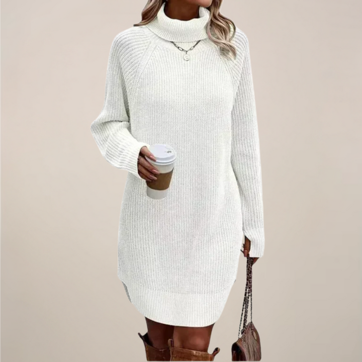 Damen Rollkragen-Pulloverkleid mit langen Ärmeln
