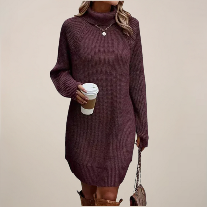 Damen Rollkragen-Pulloverkleid mit langen Ärmeln